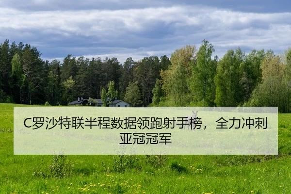 C罗沙特联半程数据领跑射手榜，全力冲刺亚冠冠军